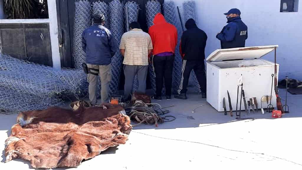 Tres cazadores furtivos demorados por faena de vacunos