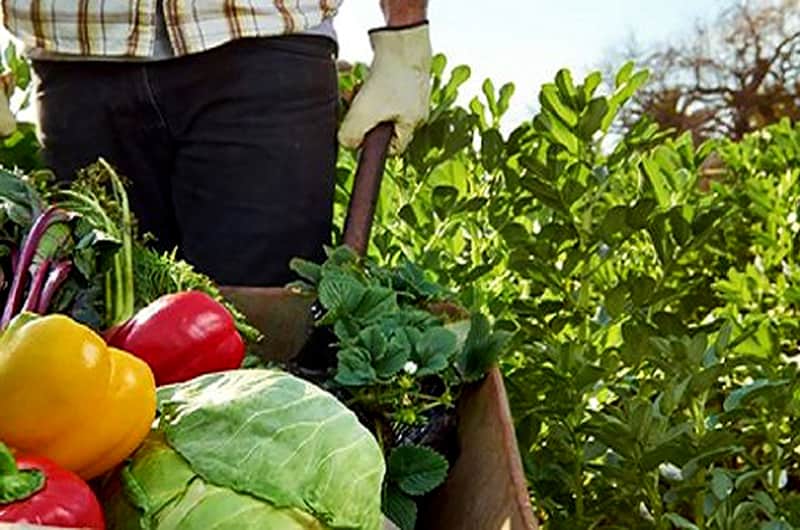 Después de 9 años, Gobierno reglamentó la ley de agricultura familiar
