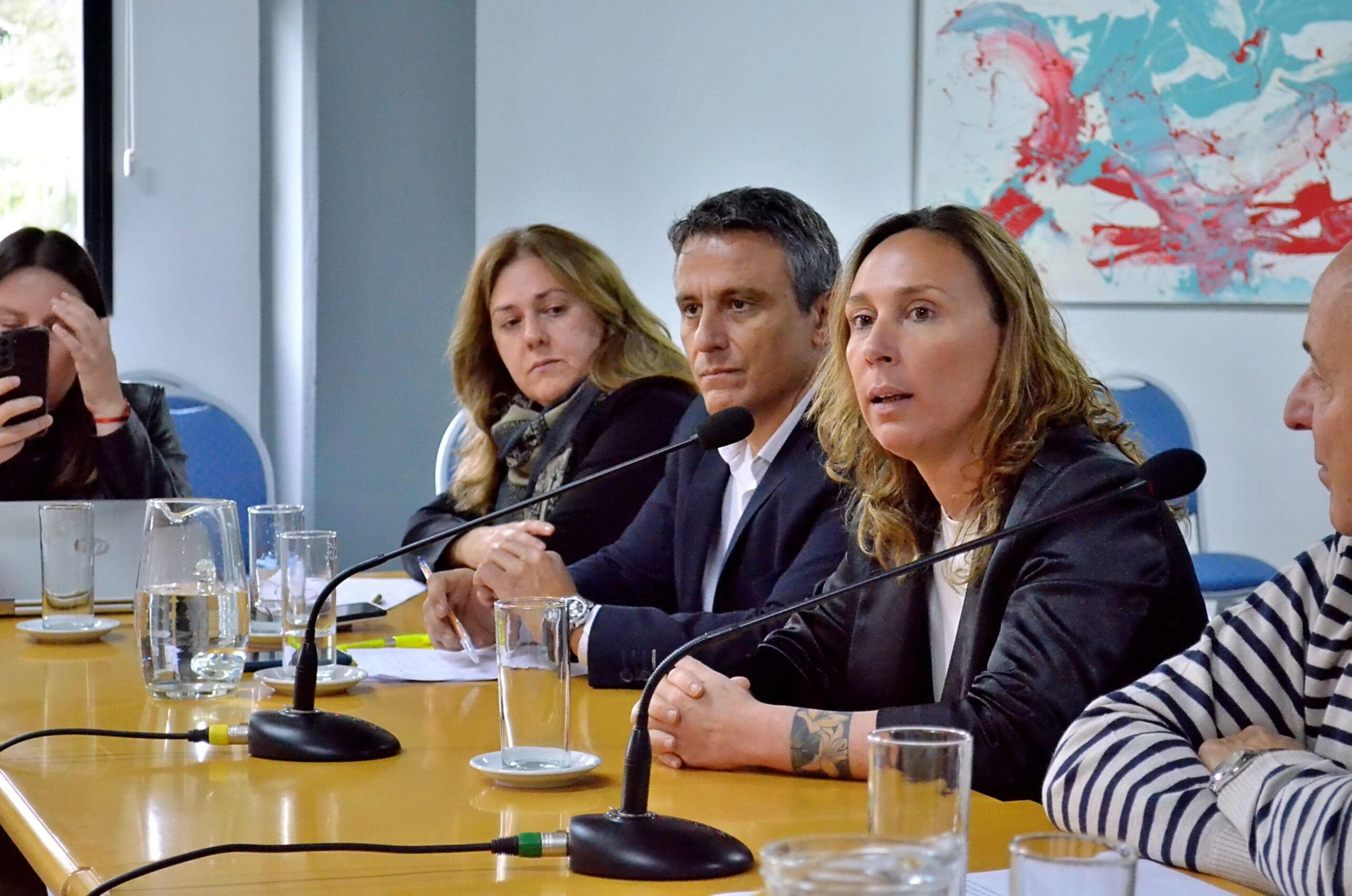 NECESITAMOS MODERNIZAR EL TRABAJO PARA TENER UNA MAYOR CELERIDAD EN LA JUSTICIA, EXPRESÓ MARÍA VERÓNICA CAMPO