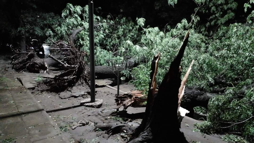 EL INTENDENTE FRANCISCO RECOULAT PRESIDIÓ EL COMITÉ DE CRISIS PARA COORDINAR ACCIONES ANTE LA EMERGENCIA POR LA FUERTE TORMENTA