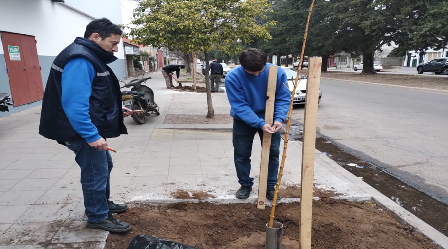 Espacios Verdes Impulsa la Forestación Urbana con la Colaboración de La Anónima