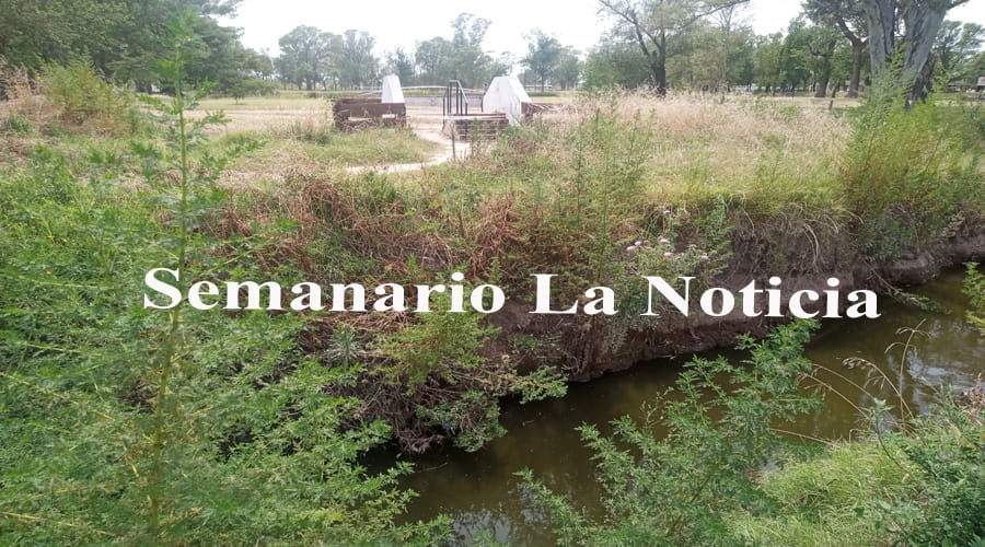 América vecinos del Barrio Perón: Reclaman ante el municipio por abandono y riesgos sanitarios (VIDEO)